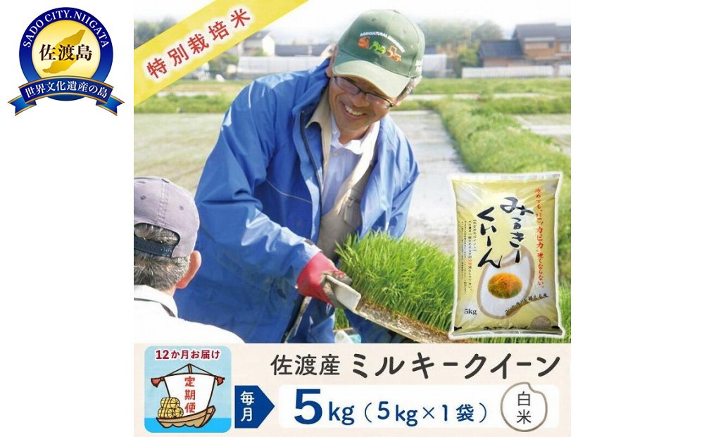【令和8年産新米 12ヶ月】佐渡島産ミルキークイーン 白米 5kg 特別栽培米195962-4513