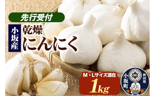 《先行受付》小坂産 乾燥にんにく 1kg [ニンニク にんにく 乾燥にんにく 野菜 根菜 国産 小坂産 秋田 中村農園]