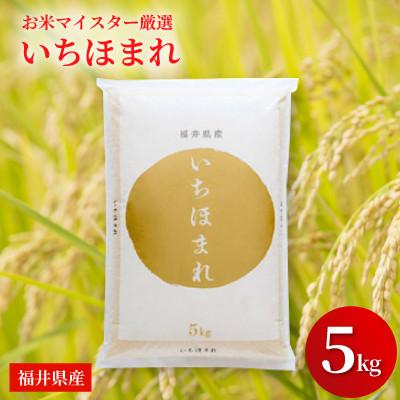 ふるさと納税 鯖江市 福井県産【令和7年産】いちほまれ 5kg