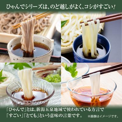 ふるさと納税 十日町市 ひゃんで乾麺4種セット(そば・うどん・そうめん・ひやむぎ)計約48人前 松代そば善屋 新潟県十日町市 |  | 01