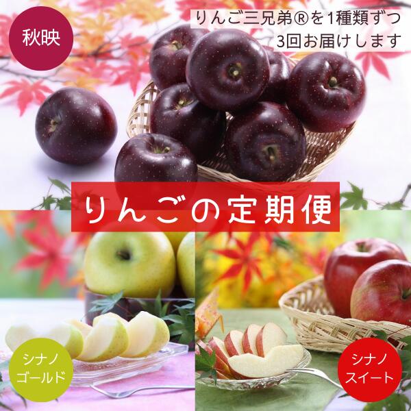 【ふるさと納税】りんごの定期便 りんご三兄弟®（秋映・シナノスイート・シナノゴールド）各2.5キロ×3回 ／長野県 オリジナル品種 南信州 贈答 南信州ブランド りんご三兄弟 人気 甘い 濃厚 JA42