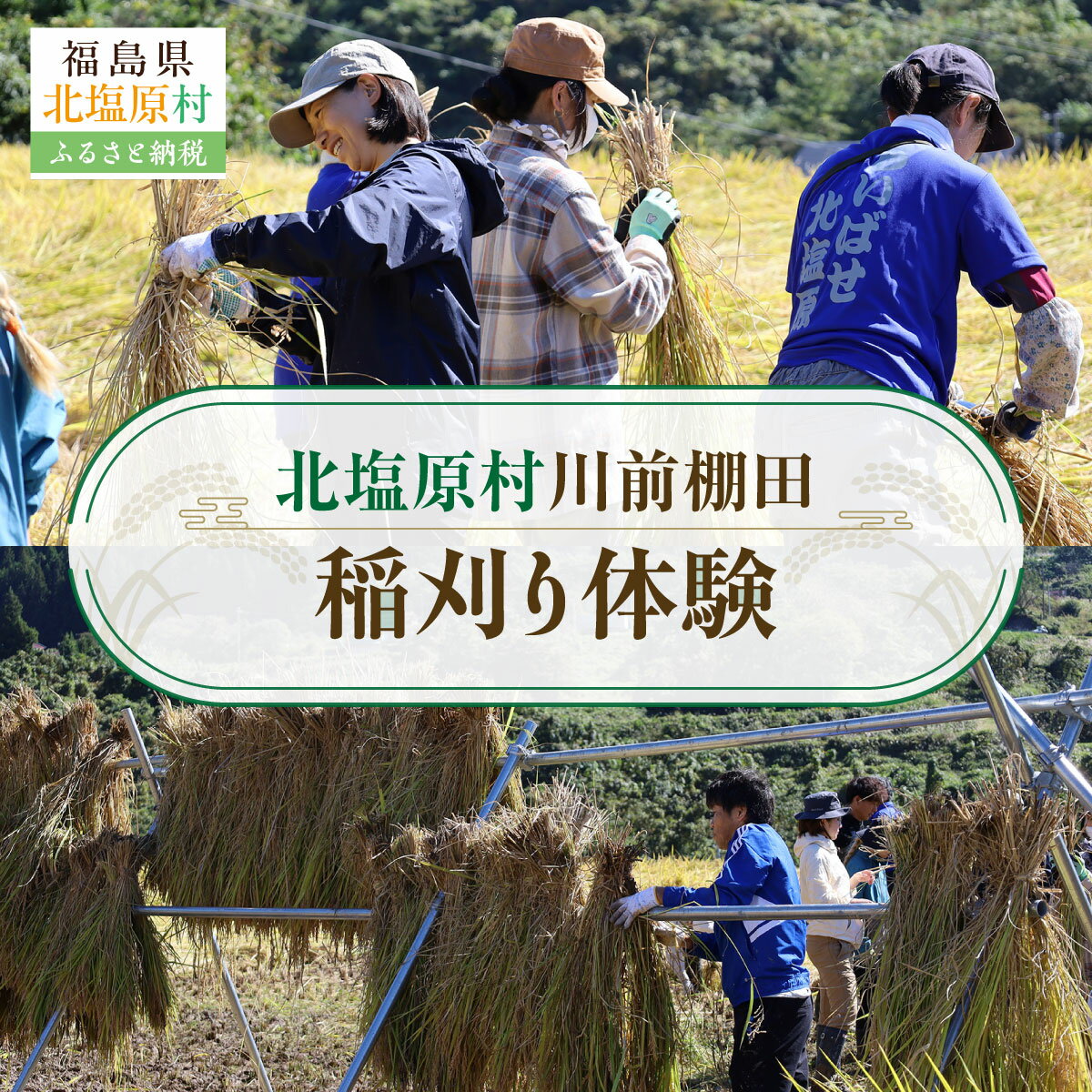 【ふるさと納税】北塩原村川前棚田　稲刈り体験【 ふるさと納税 人気 おすすめ ランキング 北塩原村川前棚田 稲刈り体験 稲刈り 体験 福島県 北塩原村 送料無料 】 KBAH003