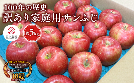 りんご 家庭用サンふじ 約5kg 青森県平川市産[hi-0039-007]