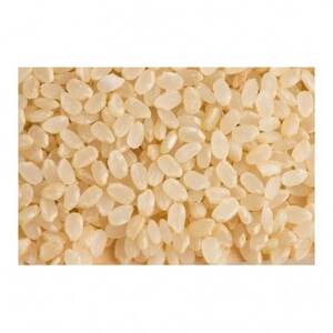 【令和7年産】コシヒカリ　玄米5kg【1443652】