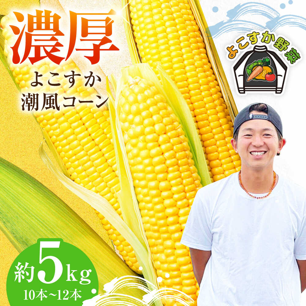【ふるさと納税】【先行予約】【数量限定100セット】よこすか潮風コーン 10本〜12本 計約5kg トウモロコシ コーン とうもろこし 野菜 農園 濃厚 横須賀【井上農園】[AKDJ002]