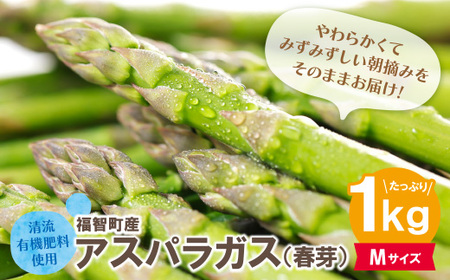 Y18-22-01 清流・有機肥料使用 アスパラガス(夏芽) 1kg(M) 【2026年6月より順次配送開始】 