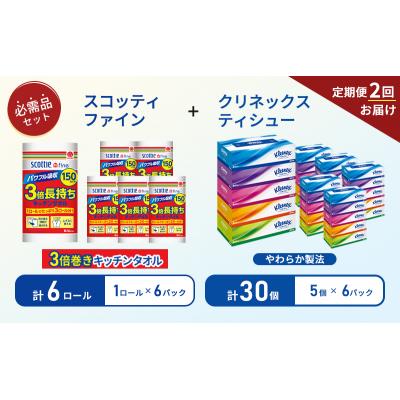 ふるさと納税 岩沼市 【6ヶ月ごと計2回お届け】ティッシュ+キッチンペーパー6P[No.5704-1803] |  | 01