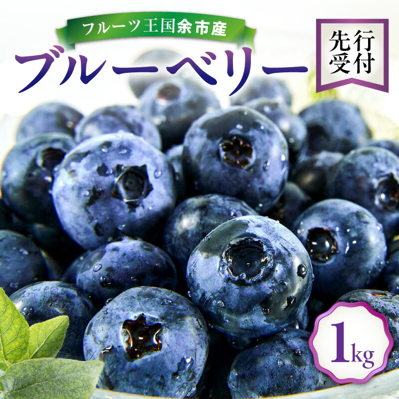 【ふるさと納税】【 先行予約 ： 8月上旬以降発送 】フルーツ王国余市産 生ブルーベリー 1kg 【 ニトリ観光果樹園 】 国産 抗酸化作用 フルーツ 果物 お取り寄せ スムージー ジュース ヨーグルト ジャム アレンジ 送料無料 北海道 余市町