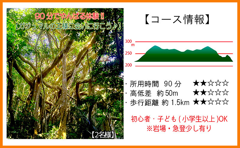 
沖縄県北部やんばる・ガジュマルの王様に会いに行こう♪【2名様】
