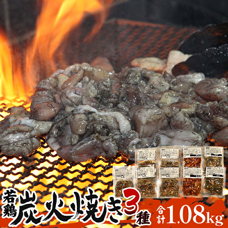 【ふるさと納税】「小料理ひゅう」宮崎県産若鶏炭火焼3種セット 1.08kg 塩 みそ 辛みそ 鶏肉 肉 お肉 炭火焼き 若鶏 宮崎県産 国産 パック 小分け おつまみ つまみ おかず お弁当 グルメ ご当地グルメ 特産品 簡単調理 レンジ 湯煎 BBQ キャンプ 人気 おすすめ 宮崎県 宮崎市