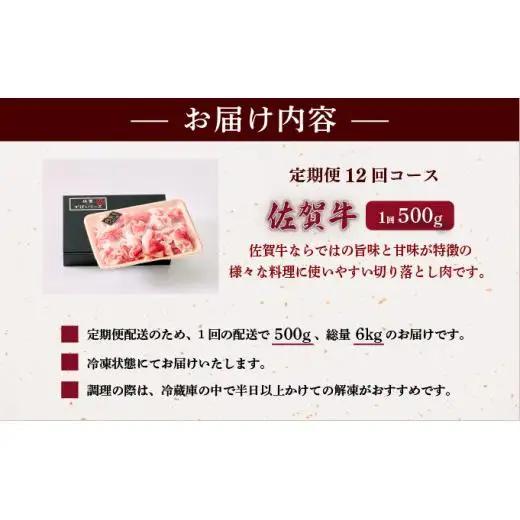 ＜定期便12回＞佐賀牛切り落とし 計6kg (500g×12回)