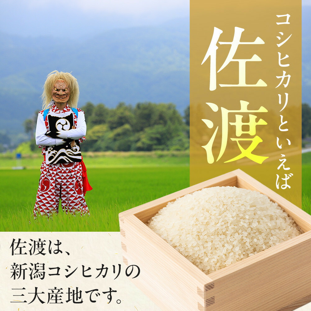 無洗米佐渡産コシヒカリ5kg195969-0016