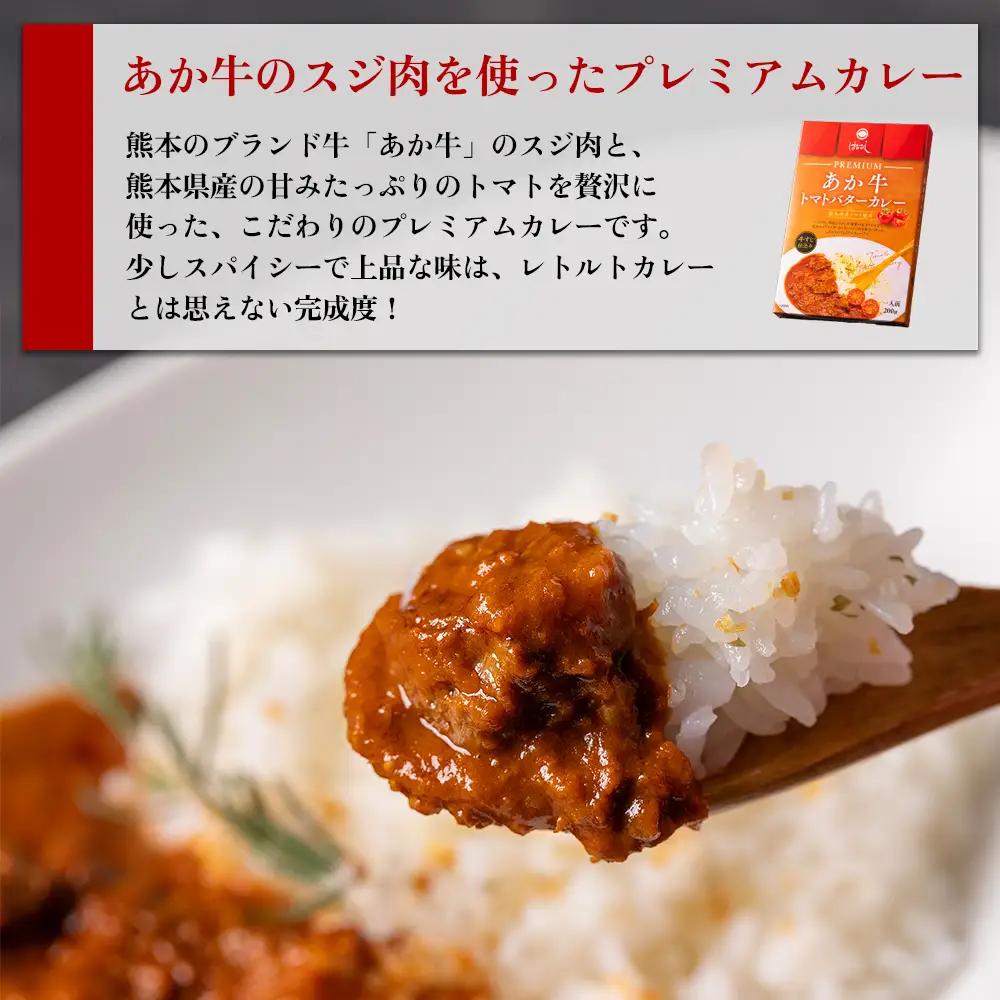 あか牛トマトバターカレー＆阿蘇とまとのチキンカレー 各2個セット 計4個　阿蘇はなびし食品研究所 熊本県 阿蘇市