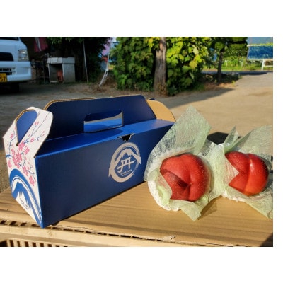 【お盆に喜ばれる贈り物】マンゴーネクタリンやみつきリピーター続出中2025年8月中旬より発送【配送不可地域：離島・北海道・沖縄県・中国・四国・九州】