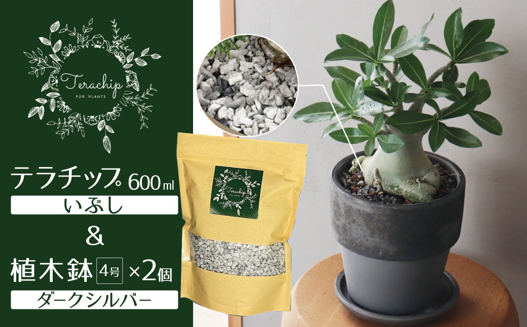 
三河焼 植木鉢 ダークシルバー【テラチップいぶし】プランター お手軽 植物栽培セット H188-001
