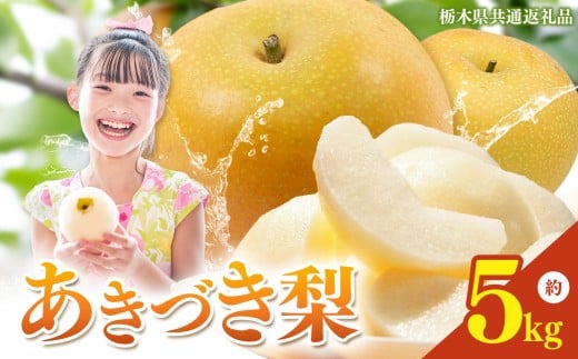 【2026年先行予約】栃木県産 梨 あきづき 5kg | あきづき なし ナシ 完熟 果物 フルーツ プレゼント ご褒美 お取り寄せ 贈答 おいしい ジューシー 数量 限定 栃木県産 栃木県 真岡市 減農薬 送料無料