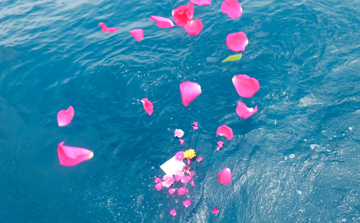 愛猫のための代行海洋散骨供養 (粉骨・散骨証明書・ブックレット付) / ペット供養 愛猫供養 猫 ねこ ネコ 海 埋葬 自然葬 葬儀 お別れ 弔い サービス 代行 委託 メモリアル 遺骨 粉骨 船 プ