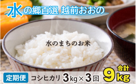 【令和7年産】【3ヶ月定期便】こしひかり 3kg×3回 計9kg【白米】「エコファーマー米」水のまちのお米