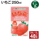 【ふるさと納税】【定期便】【1ヶ月毎2回】いちご 250ml 24本 計48本（24本×2回） いちごミルク いちご果汁 苺 イチゴ 牛乳 乳飲料 ジュース ドリンク 熊本県産 国産 九州 熊本県 菊池市 送料無料