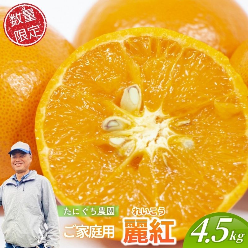 【ふるさと納税】 【数量限定】ご家庭用 たにぐち農園の麗紅 (れいこう) 約4.5kg Lサイズ以上 みかん ミカン 柑橘 フルーツ 果物 くだもの 家庭用 れいこう オレンジ 旬 産地直送 農家直送 【2026年2月より順次発送予定】
