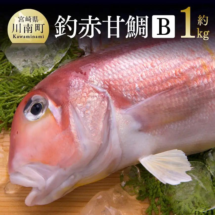 『釣赤甘鯛 Ｂ』【 魚 魚介 魚介類 鮮魚 さかな 日向灘 魚介 魚介類 赤甘鯛 九州 宮崎 川南町 新鮮 魚介 海の幸  魚介類 甘鯛 たい 送料無料 魚介 魚介類 】