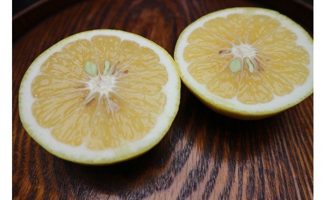 早川農園の足摺小夏（３kg）先行予約 日向夏 みかん ミカン 果物 果実 柑橘 フルーツ こなつ ﾆｭｰｻﾏｰｵﾚﾝｼﾞ デザート 美味しい ギフト 贈答 国産 10000円 1万円【R00191】