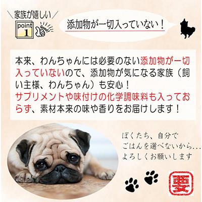 ふるさと納税 泉佐野市 【毎月定期便】国産 無添加 ドッグフード「いのちのごはん」500g×全3回 099Z168 |  | 03