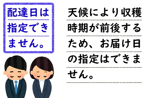 【令和7年産先行予約】 さくらんぼ 「紅秀峰」 約1kg (秀 2L
