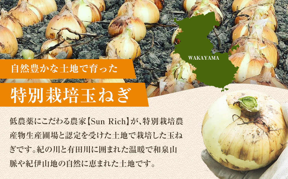 ［2026年発送分・先行予約］訳あり 農家さん直送 低農薬玉ねぎ 4kg程度 S～2L混合［4月中旬～7月中旬頃発送予定］ご家庭用 ※傷有り［KF19］