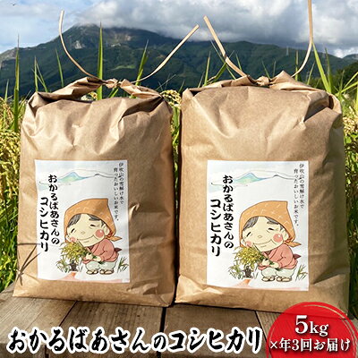 【ふるさと納税】【令和8年産新米予約受付】【5kg×3か月連続お届け】おかるばあさんのコシヒカリ 　お届け：2026年10月中旬より順次発送