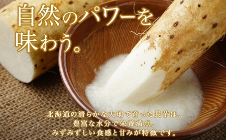 【 2026年 出荷 】 北海道 倶知安町産 長芋 2L×約6本 計5kg 秋堀り 芋 ながいも とろろ 新鮮 フレッシュ 野菜 農作物 産直 山芋 麦とろ 山かけ おつまみ グリーンアースファーム 