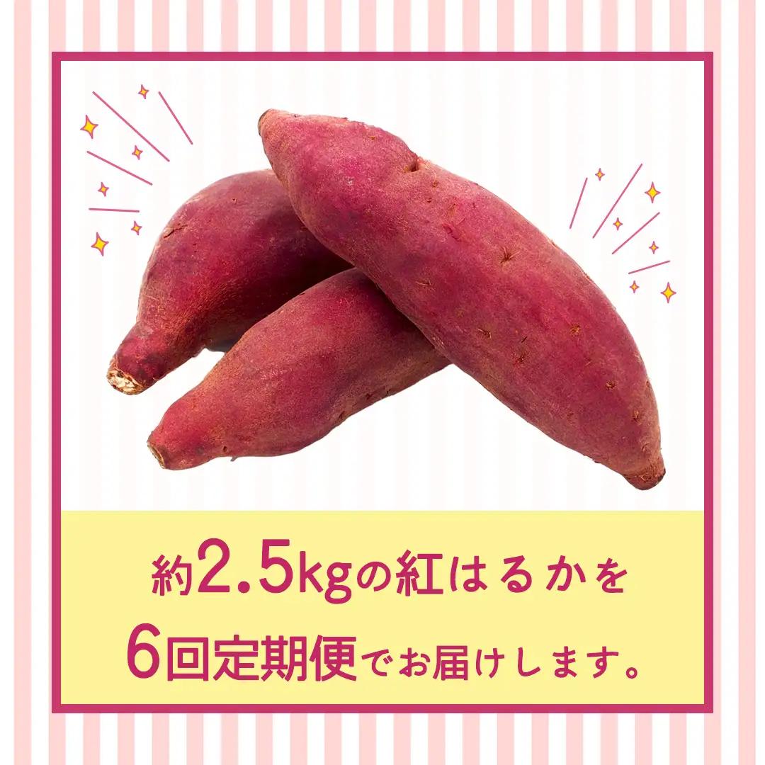 紅はるか 約 2.5kg （6回 定期便 ）（茨城県共通返礼品 [さつまいも]：行方市産）