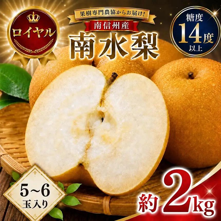 【9月上旬から発送予定】南信州生まれのジューシーで甘い梨「南水梨」 約2kg 5～6玉 糖度14.0以上