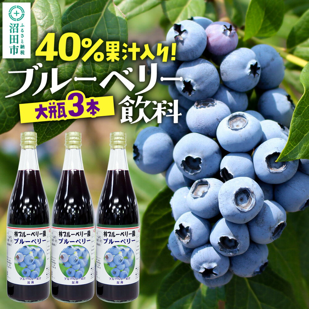 【ふるさと納税】40％果汁入り ブルーベリー飲料 720ml×3本セット
