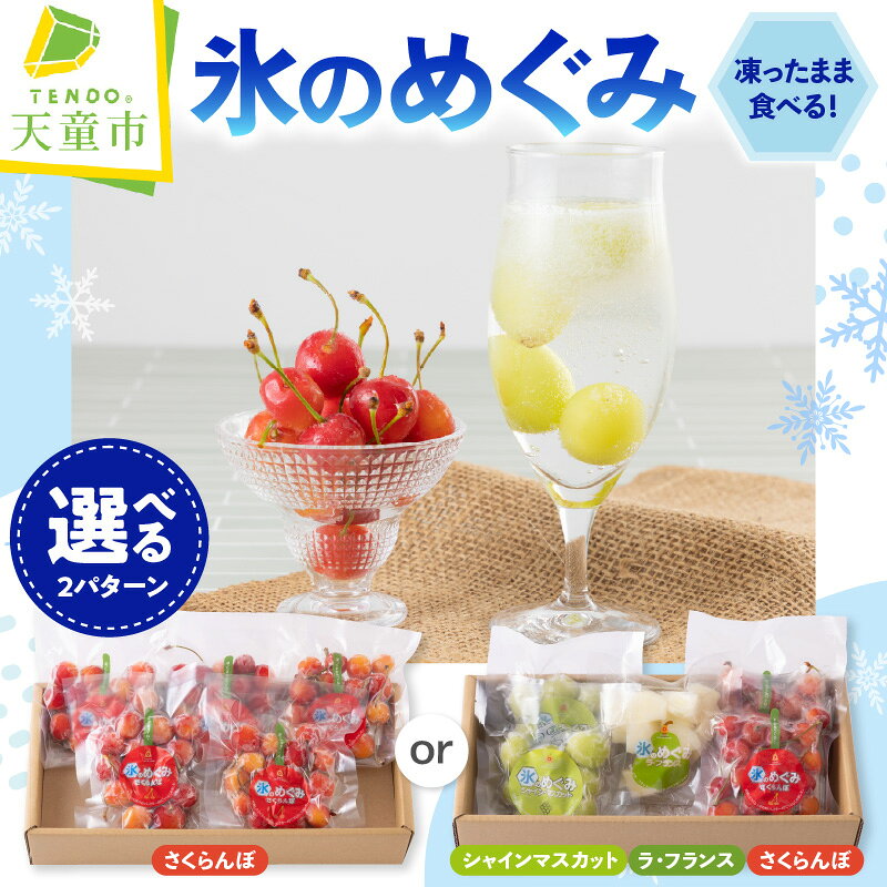 【ふるさと納税】 氷のめぐみ 選べる 2パターン 100g × 5袋 冷凍 完熟 さくらんぼ 佐藤錦 シャインマスカット ラフランス 果物 フルーツ 急速冷凍 アイス シャーベット 食感 スイーツ デザート のし 贈答 おすそ分け ご褒美 お取り寄せ 送料無料 産地直送 山形県 天童市