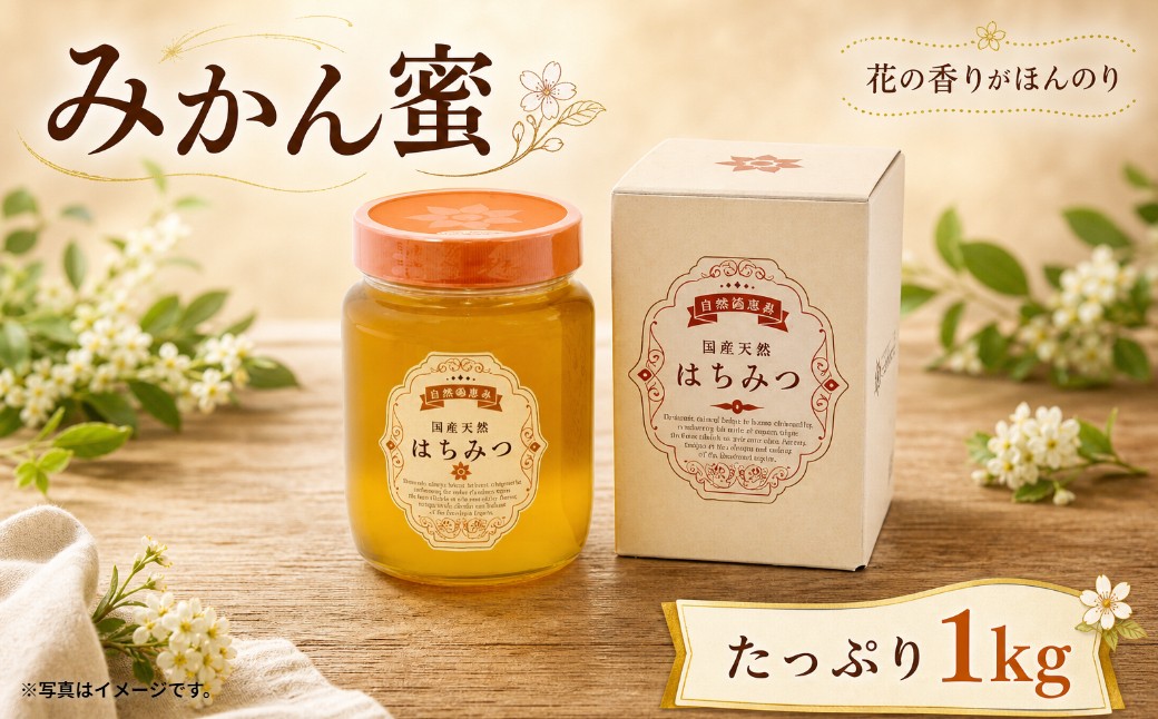 
                  O65x1 太良町産はちみつ【みかん蜜１ｋｇ】 みかん蜜 ミカン蜜 蜜柑蜜 はちみつ ハチミツ 蜂蜜 太良町 国産
                