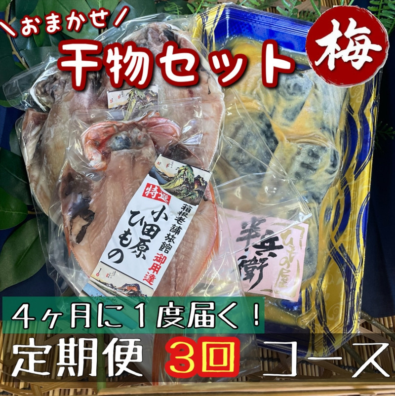 【4ヶ月に1回定期便3回】厳選！小田原の旬の干物セット 梅【 まぐろや 神奈川県小田原市 】 142069_DQ292