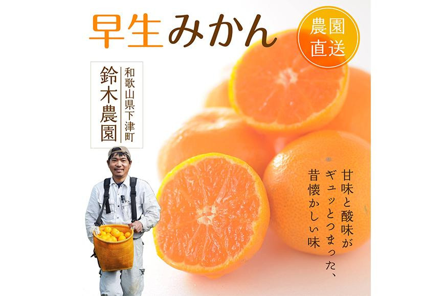 
            みかん【早生みかん】約5kg 混合サイズ【訳あり】和歌山・下津町産 鈴木農園直送｜果物 フルーツ ミカン 蜜柑 わけあり 訳アリ
          