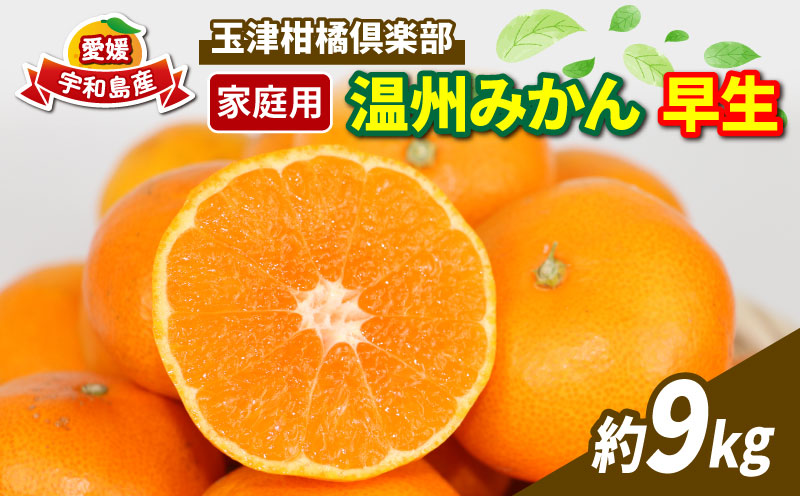温州みかん 早生温州 家庭用 9kg 玉津柑橘倶楽部 B010-072001