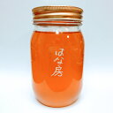 【ふるさと納税】はちみつ 高原花房500g 安芸高田市産 ハチミツ 蜂蜜　【安芸高田市】