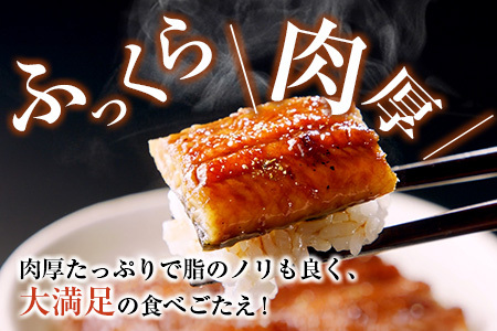 ◆宮崎県産ハーブうなぎ蒲焼 切身20枚(計1kg)