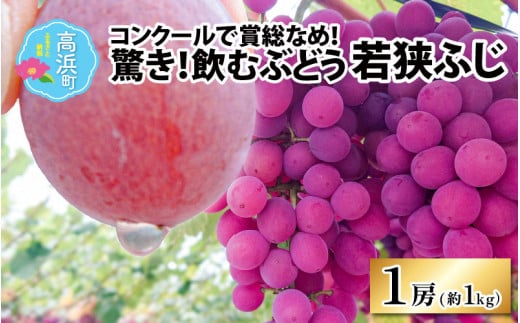 【先行予約】【数量・期間限定】受賞歴多数！飲むぶどう 若狭ふじ 1房(約1kg) ≪2024年8月中旬より順次発送≫