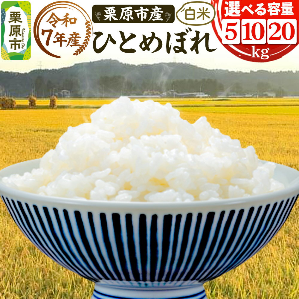 【ふるさと納税】《令和7年産》【白米】栗原市産 ひとめぼれ 【選べる容量5kg／10kg／20kg】 精米 ブランド米 黒澤農産 宮城県 栗原市