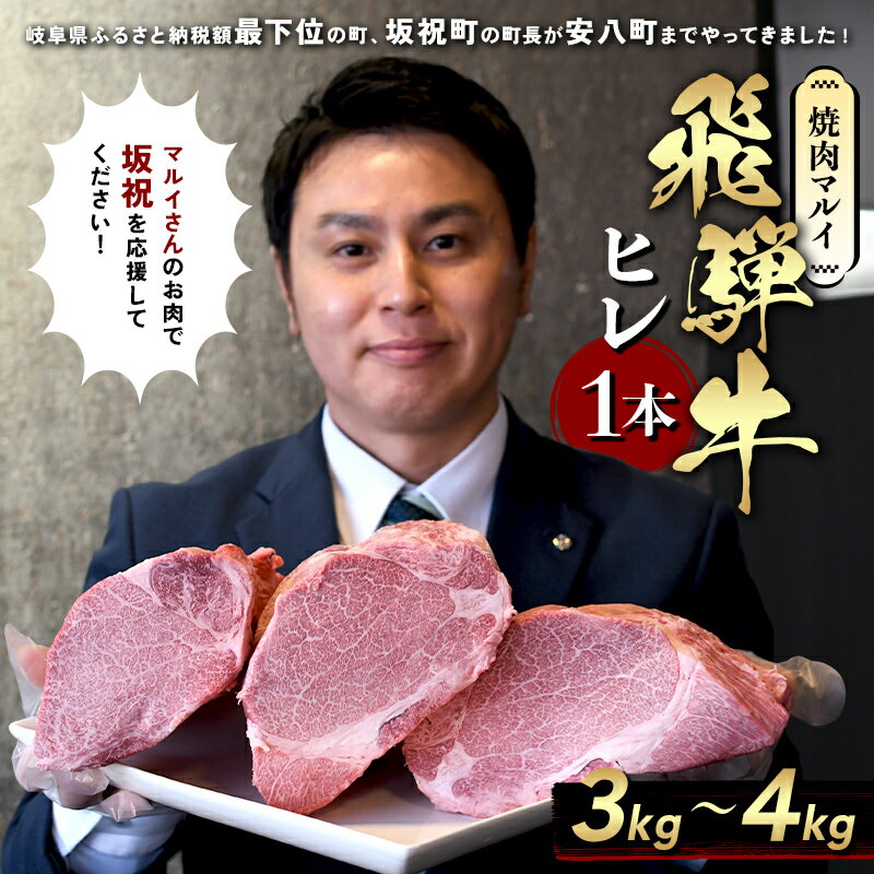 【ふるさと納税】飛騨牛 ヒレ肉 ブロック A4～A5等級 1本 約3～4kg 3分割 ヒレ シャトーブリアン 肉 牛肉 ブランド牛 お肉 和牛 贅沢 お取り寄せ ご褒美 ステーキ 豪華 グルメ 焼肉 BBQ パーティー ギフト 贈り物 自家用 贈答用 焼肉マルイ 岐阜県 坂祝町 F6M-342