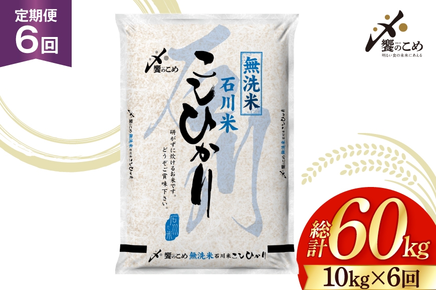 
                  米 定期便 無洗米 石川米 こしひかり 10kg ( 5kg 2袋) 6回 総計60kg [中橋商事株式会社 石川県 宝達志水町 38601401] お米 白米 ごはん 美味しい コシヒカリ おこめ こめ 10kg 60kg 石川 能登 むせんまい
                