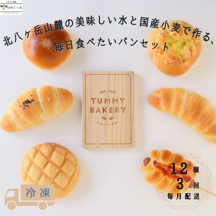【ふるさと納税】毎日食べたいパンセット　3カ月定期便〔TB-T502〕