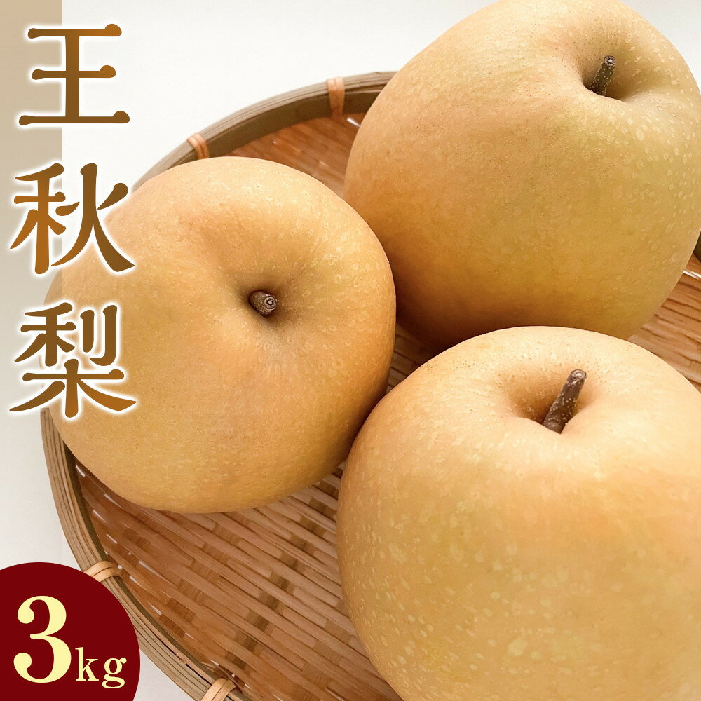 【ふるさと納税】＜選べる容量＞ 梨 王秋梨 3kg 5kg 鳥取県産 ※2025年10月下旬～12月上旬頃に順次発送予定 | 先行予約 梨 なし カロリー 果物 フルーツ くだもの 栄養 効能 ビタミン 鳥取県 鳥取 北栄町 おすすめ 人気 送料無料　