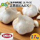 【ふるさと納税】永平寺町産 上志比にんにく 1kg（2Lサイズ） / 永平寺町 野菜 健康