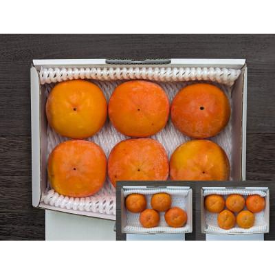 ふるさと納税 橋本市 【先行予約】匠果樹園 富有柿【訳あり】約1.5kg 6〜4玉【2026年11月〜12月発送】 |  | 02