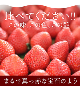 朝採れ鮮度抜群！甘く熟した完熟いちご！とちあいか 特大 1kg(255gｘ4パック) 真岡市 栃木県 送料無料